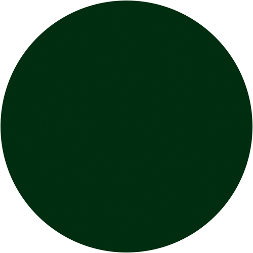 Verde carruaje RAL: 6009